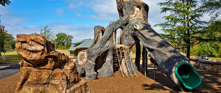 Nature Themed Commercial Playground Design
