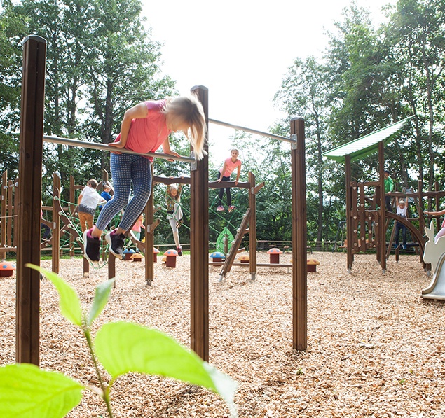 Natural Wood Playground Design