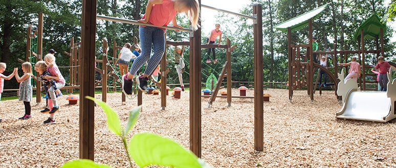 Commercial Wood Playground Design