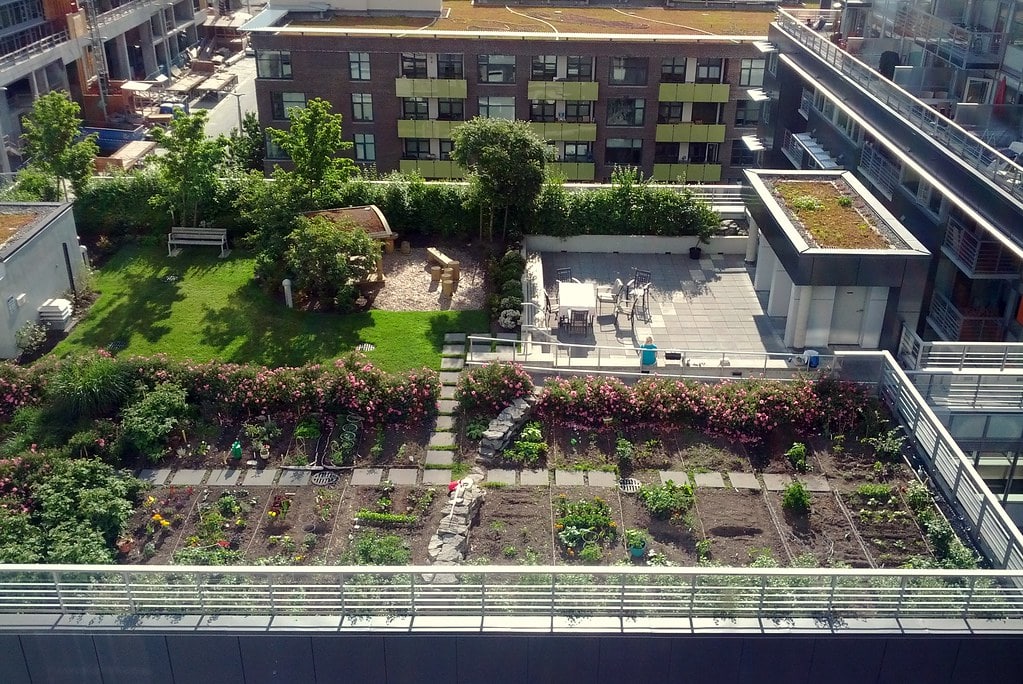 rooftop community garden