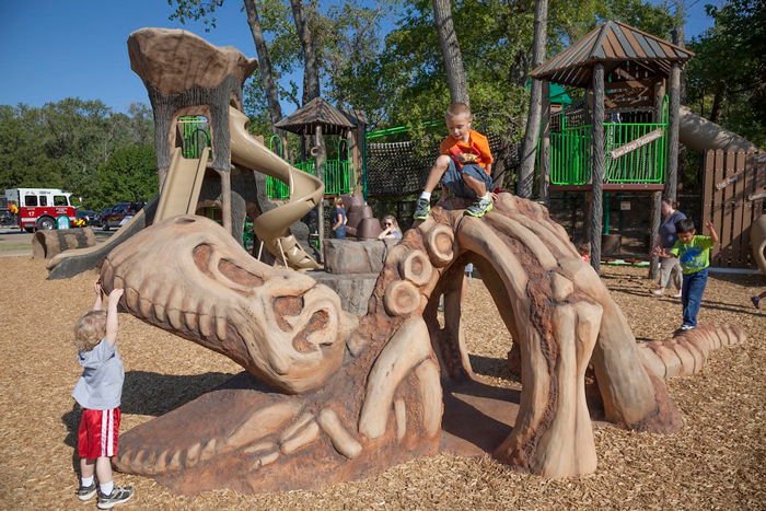 Dinosaur Themed Playground Design